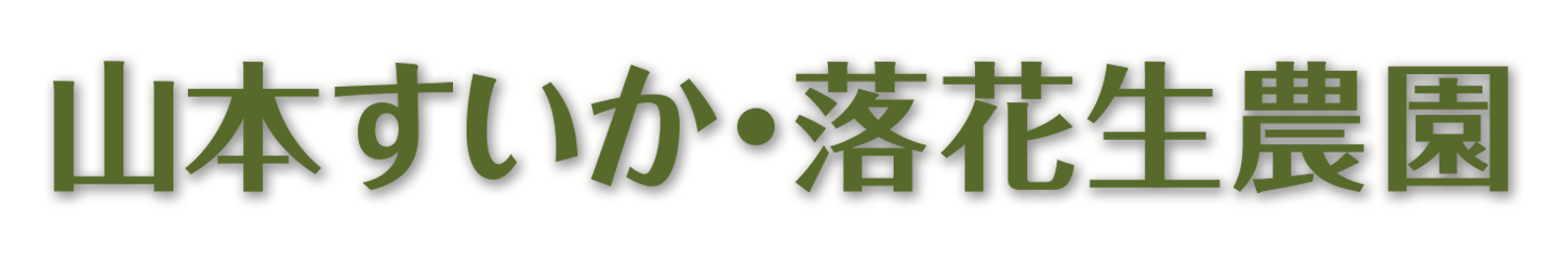山本すいか・落花生農園